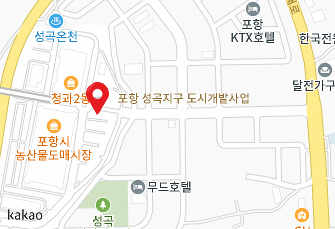 포항시농산물시장입구(포항역) 지도